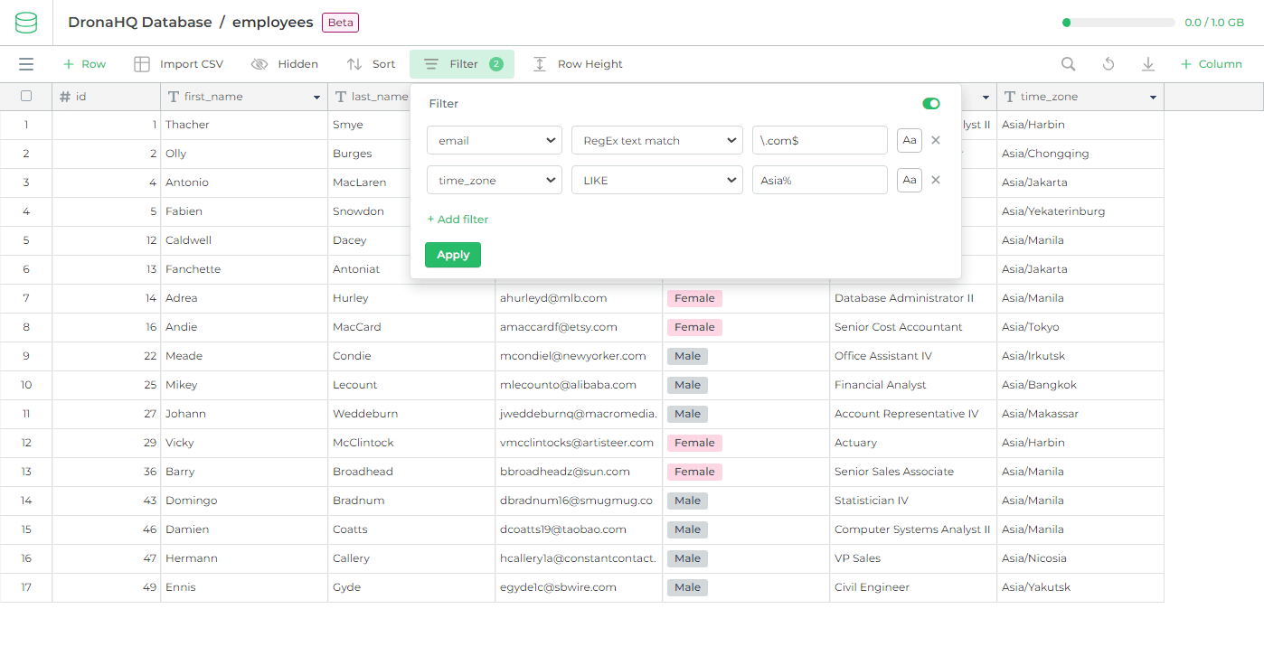 DronaHQ Database Filter Feature