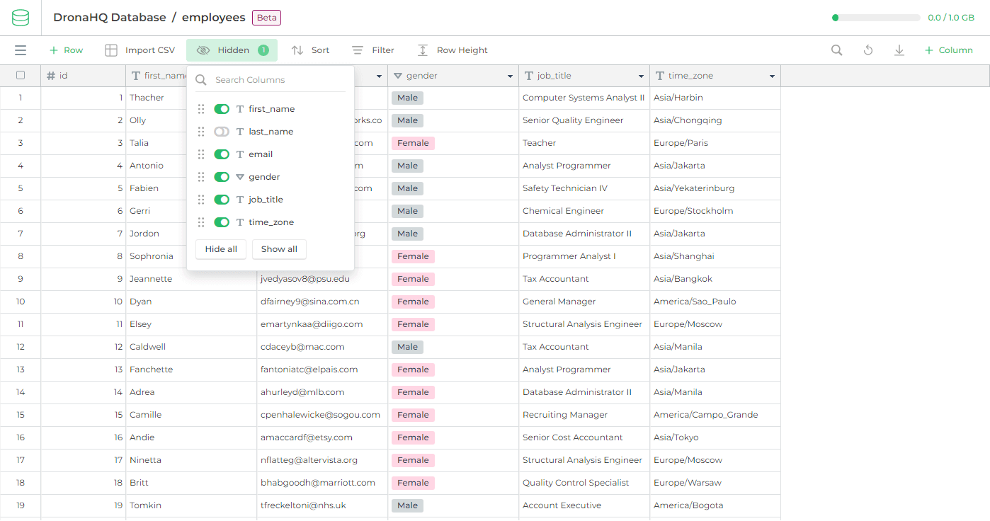 DronaHQ Database Hidden Feature