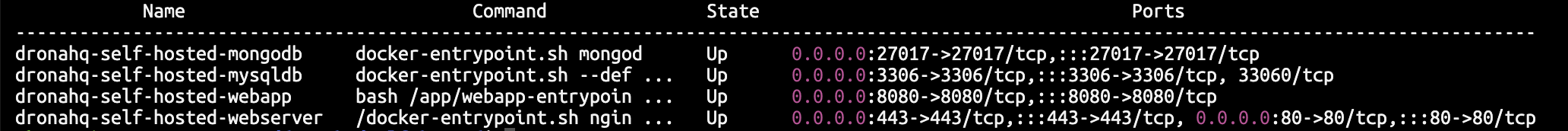 sudo docker-compose ps